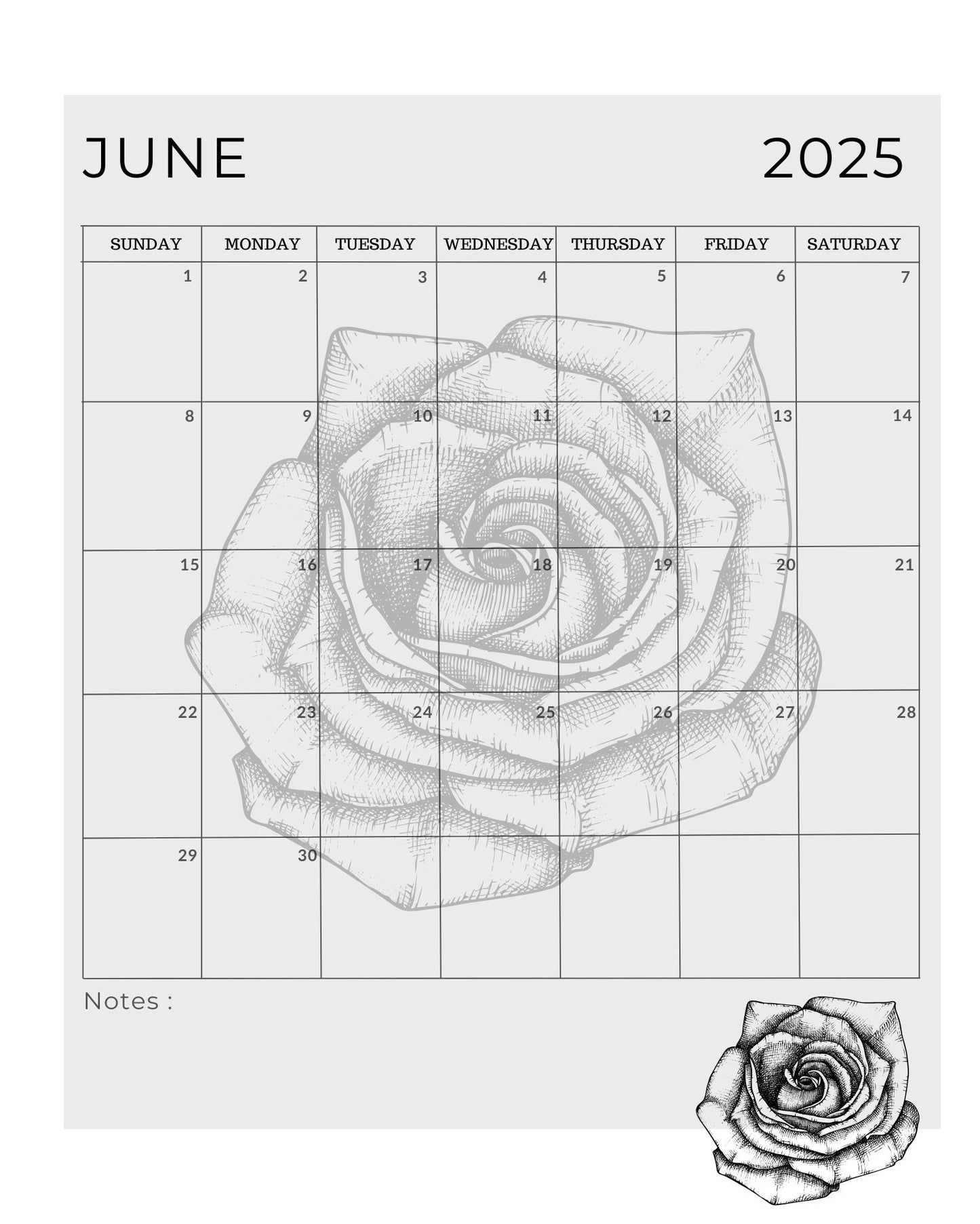 2025 Calendar and Planner - Art by Mona Anastas