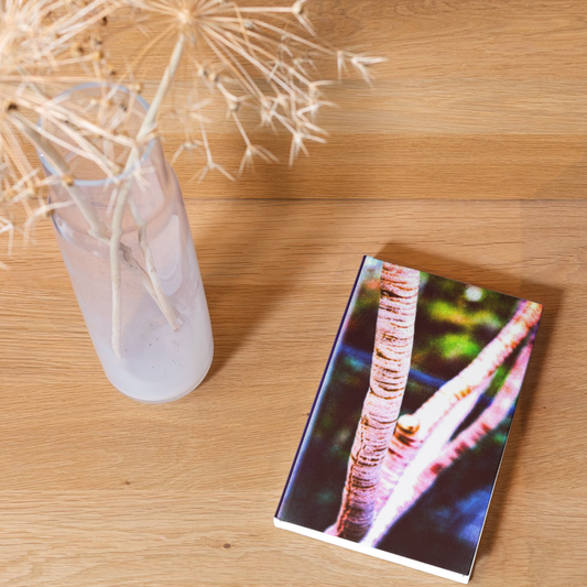 Light and Color Journal: Art by Mona Anastas