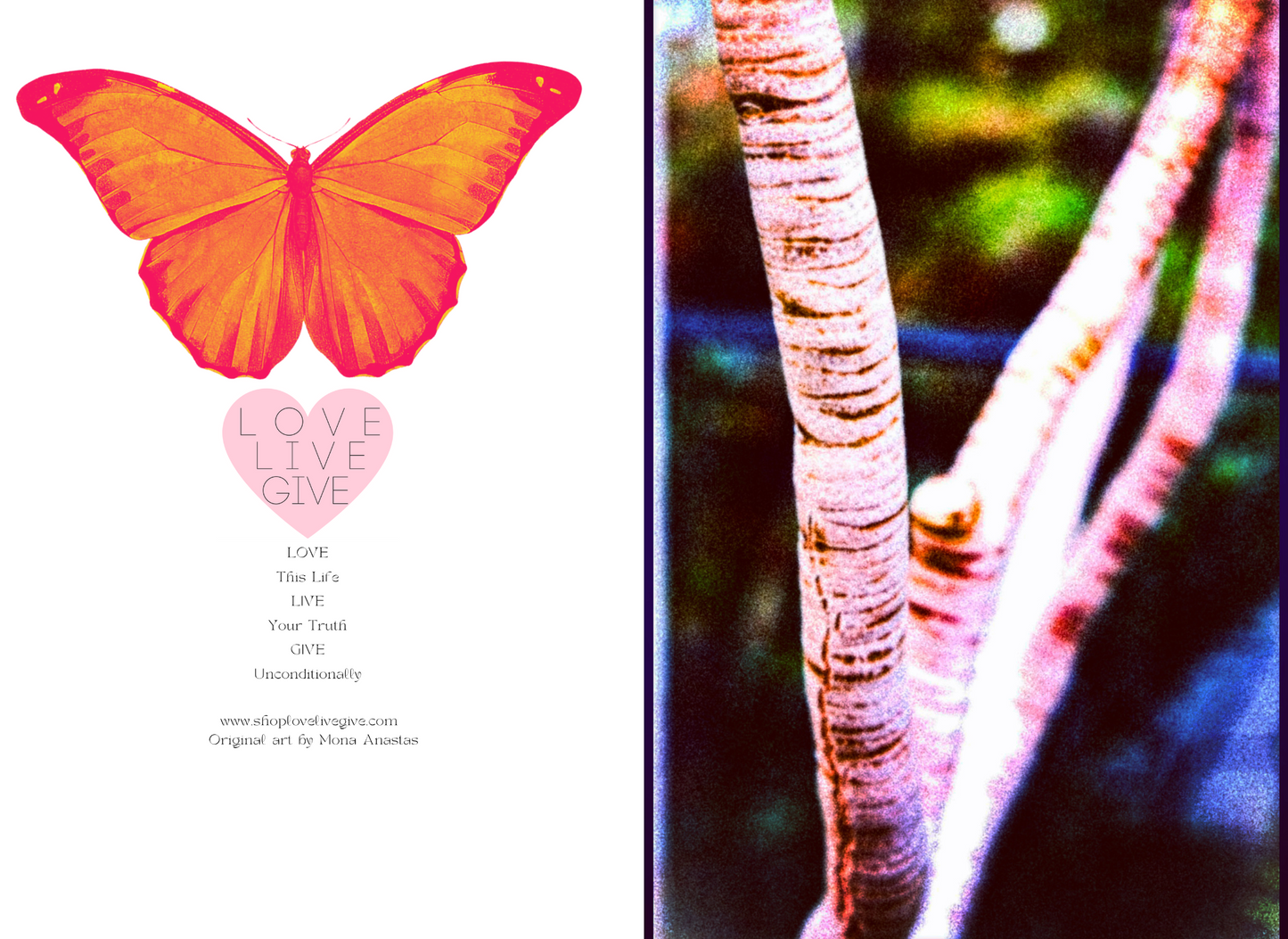 Light and Color Journal: Art by Mona Anastas
