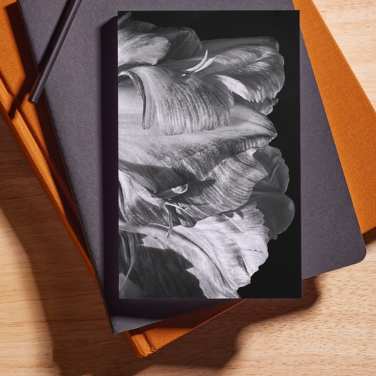 Open Tulip in Black and White Journal: Art by Mona Anastas