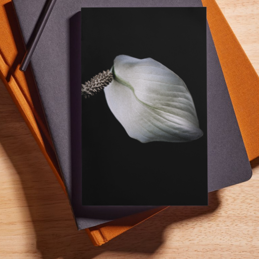 Peace Lily in Black Journal: Art by Mona Anastas