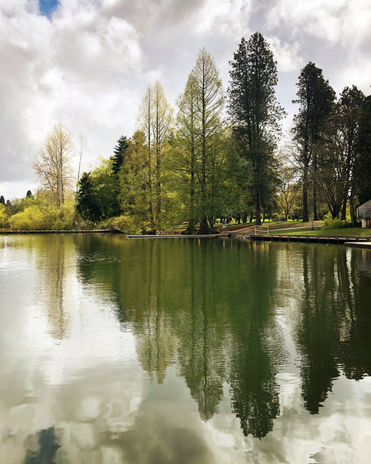 Green Lake Reflection